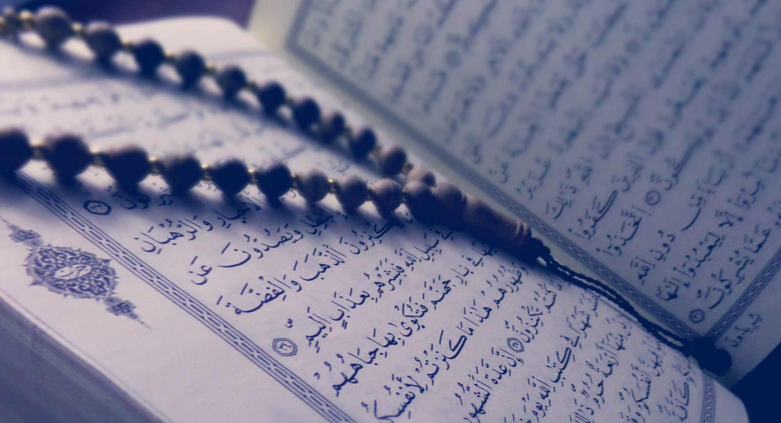 تفسير حلم قراءة سورة البقرة على الجن لابن سيرين