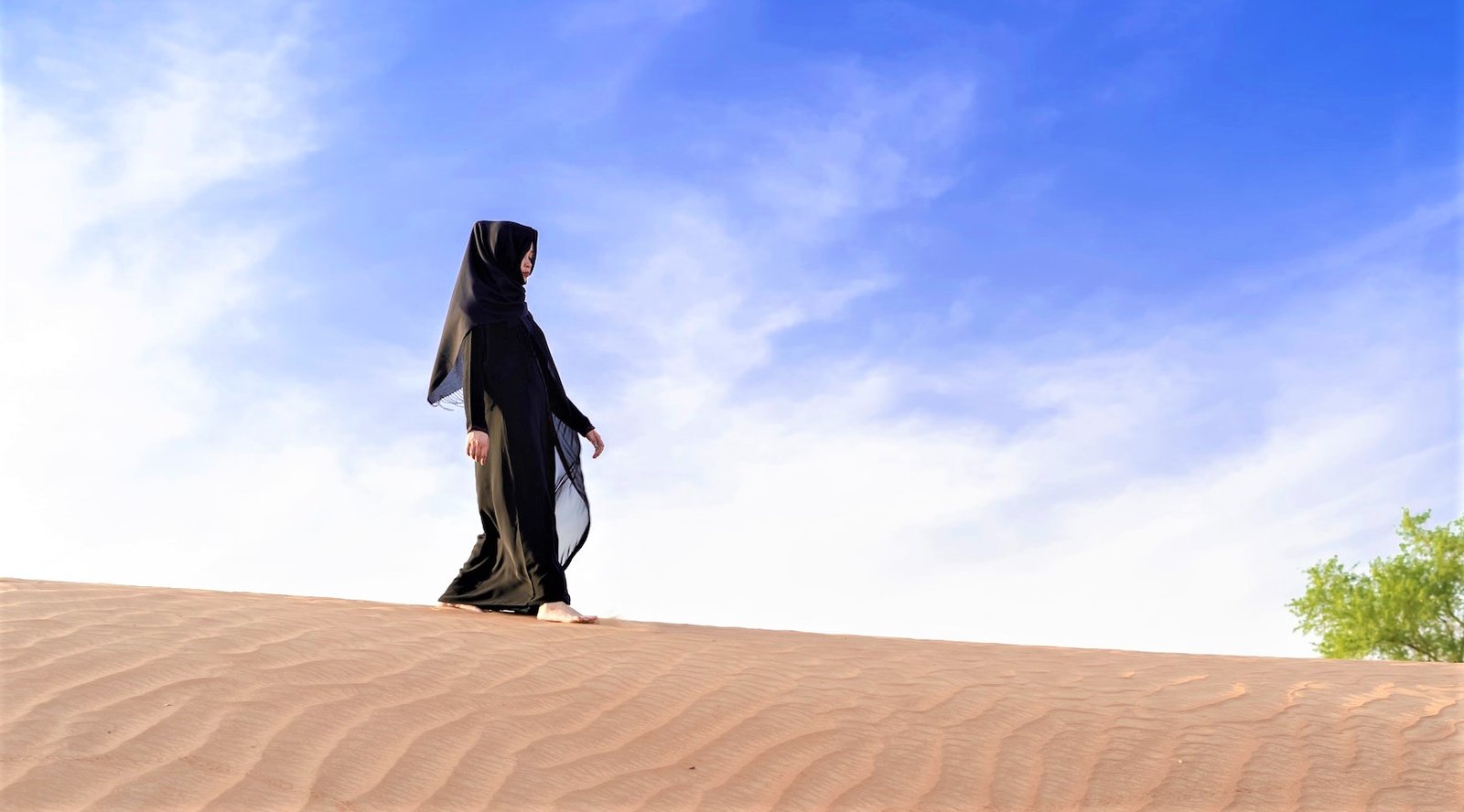 أهم 50 تفسير حلم التجهيز لحضور زواج في المنام لابن سيرين